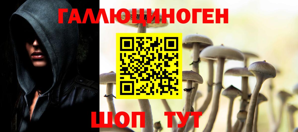 Галлюциногенные грибы MAGIC MUSHROOMS  Псилоцибиновые грибы Magic Shrooms  Азов  Вход с VPN 